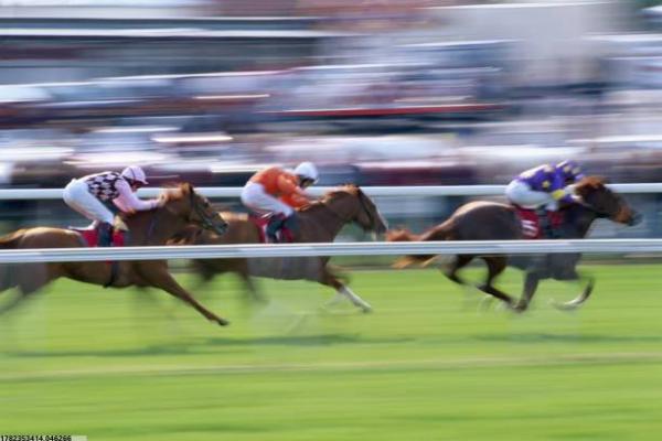 银川暑期体育培训课程的设计与报名情况